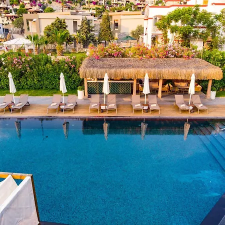 Bella & 4* Gündogan
