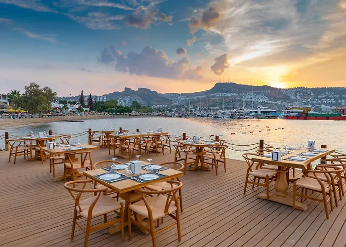 Hotel Bella & 4*