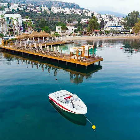 Hotell Bella & 4*